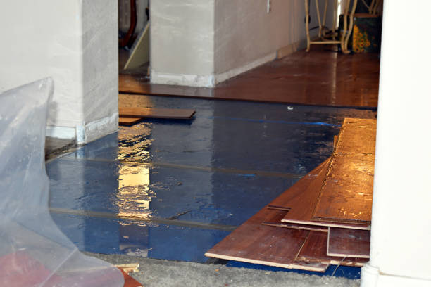 Professional Water Damage Restoration technician working in Cologne, NJ